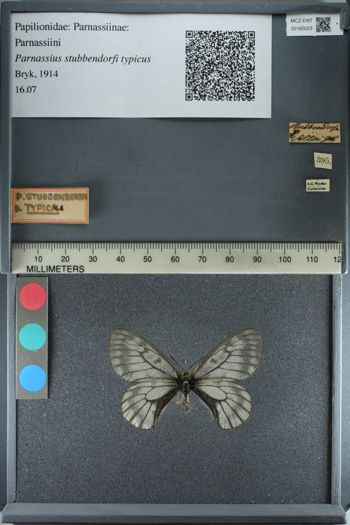 Media type: image;   Entomology 180023